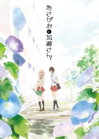 Kimi no Hikari: Asagao to Kase-san - Anizm.TV